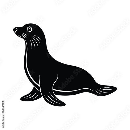 seal sea animal vector illustration