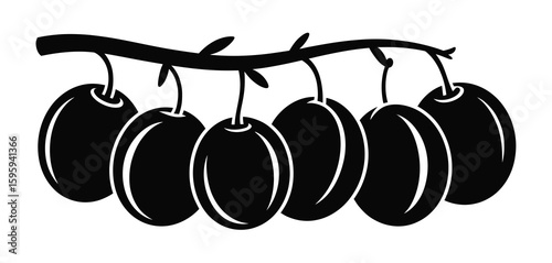 Black and white illustration of ripe plums hanging from a branch