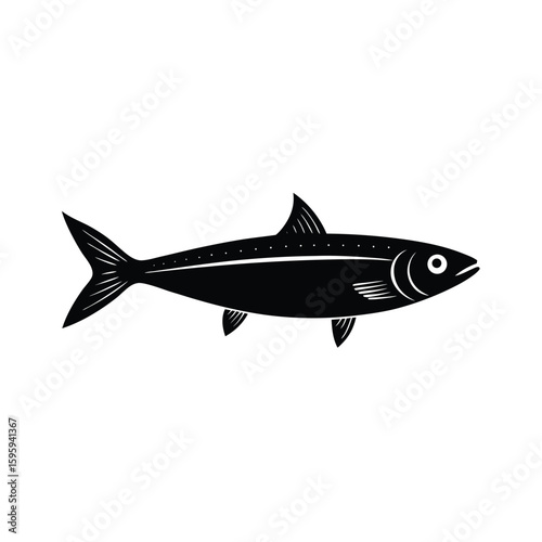 vector illustration of a sardine fish