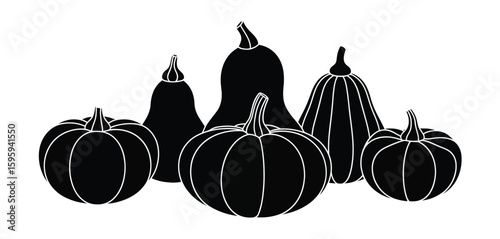 A collection of five black and white pumpkins and gourds in various shapes and sizes