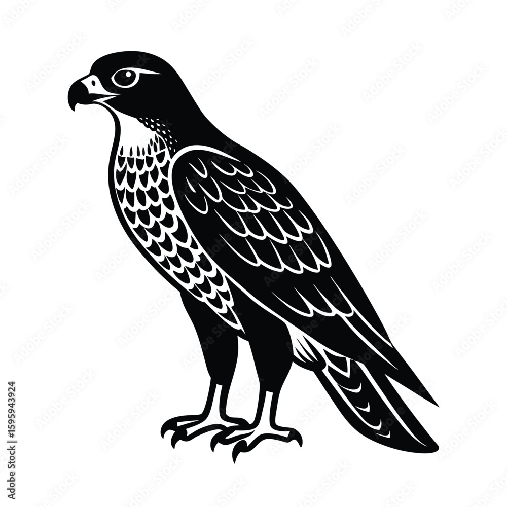 Fototapeta premium hawk bird vector illustration
