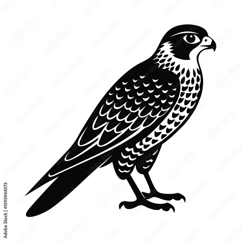 Fototapeta premium vector illustration of a falcon bird