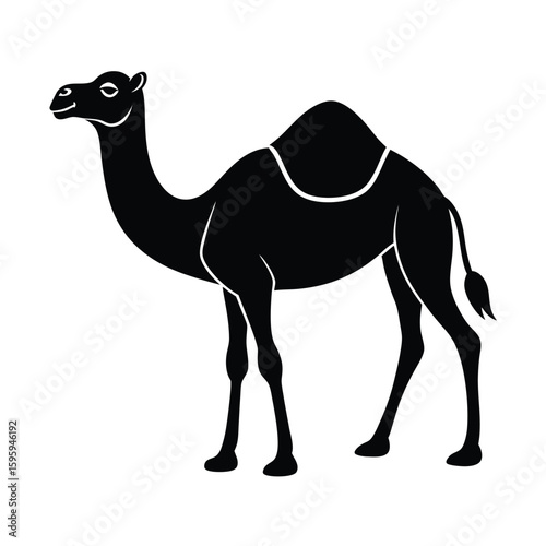 vector illustration of a camel silhouette