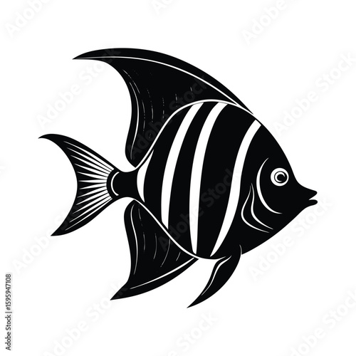angelfish vector illustration