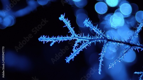 Close up of a icy branch with bokeh in the background