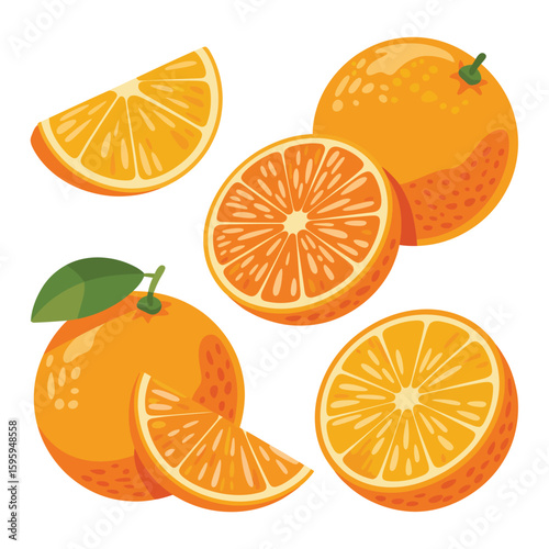 Fresh oranges whole sliced and wedges isolated on white background