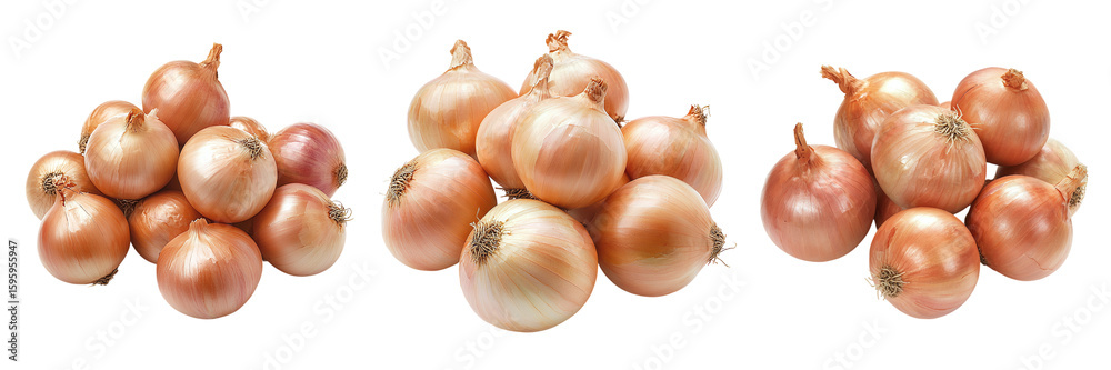 Fototapeta premium Set of ripe onions isolated on transparent background PNG