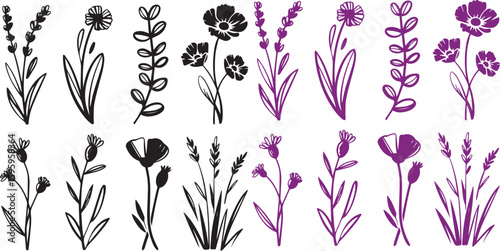 A bundle of hand-drawn floral icons featuring single-line illustrations of lavender, eucalyptus, poppies, and wild grass. Delicate and minimal brush-style vector drawings, perfectly align