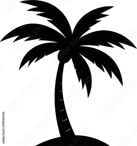 silhouette of palm tree