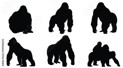 Powerful Silhouette: A collection of captivating gorilla silhouettes showcasing different poses, providing a bold statement of strength, dominance, and primal connection to the wild. 