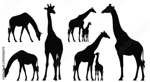 Giraffe Silhouettes: A collection of elegant giraffe silhouettes, showcasing their distinctive long necks and graceful forms. Perfect for design, illustration, and wildlife projects.
