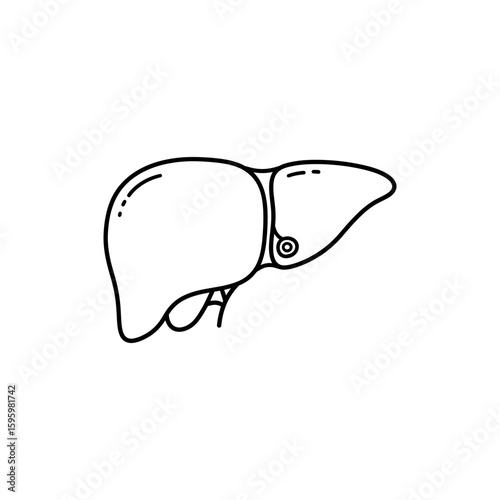 Portal Vein Entry to Liver Diagram for Blood Circulation
