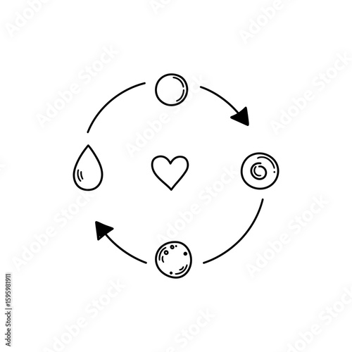 Menstrual Cycle Phases Diagram for Female Reproductive Health