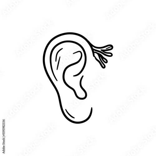 Outer and Inner Parts of the Human Ear Anatomy