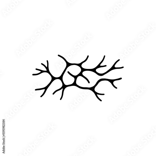 Web Network of Capillaries Inside Human Circulatory System