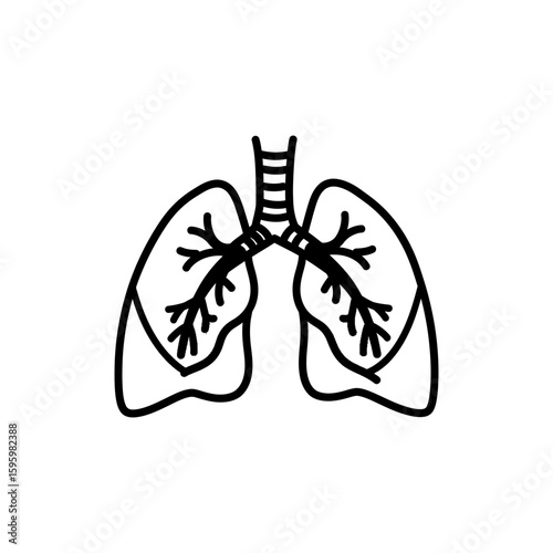 Illustration of Bronchitis with Inflamed Bronchial Tubes