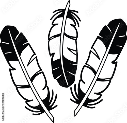 A vintage vector illustration set of black and white feather and quill pen designs for writing and art