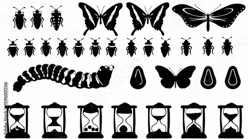 Black and white vector image featuring insects butterflies caterpillar eggs and hourglasses arranged in rows