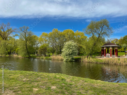 Fototapeta Naklejka Na Ścianę i Meble -  Beautiful summer landscapes in one of the parks in Minsk,
