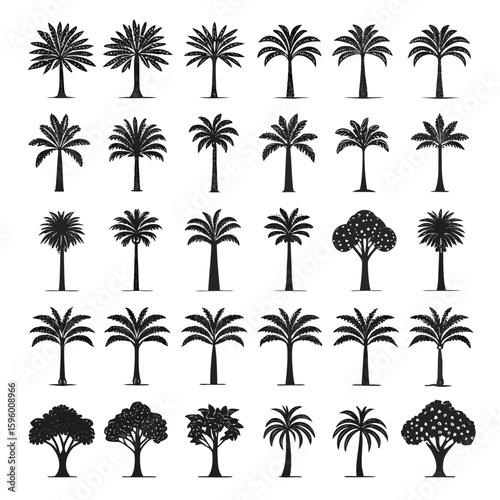 Collection of Black and White Palm Trees and Leafy Trees Silhouettes nature