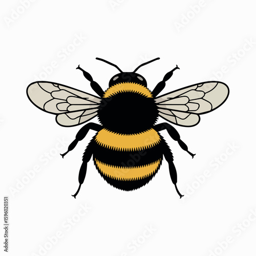Clean and modern vector  bumblebee illustration vector graphic design honeybee clip art flying insect bumble bee drawing for projects