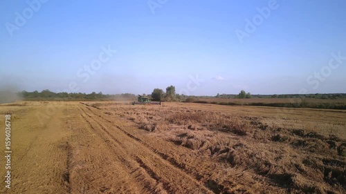 Combine Harvester Working in Golden Wheat Field during Harvest Season