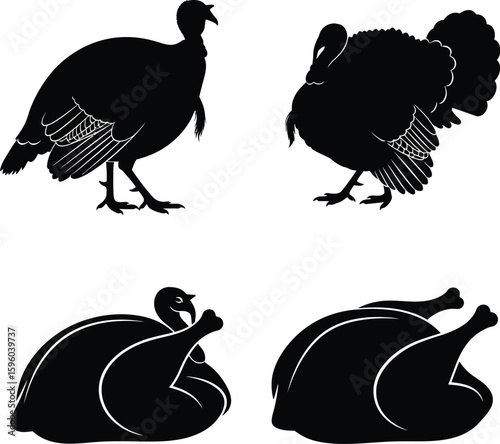 Black turkey silhouette vector illustration thanksgiving dinner bird animal poultry farm design graphic art