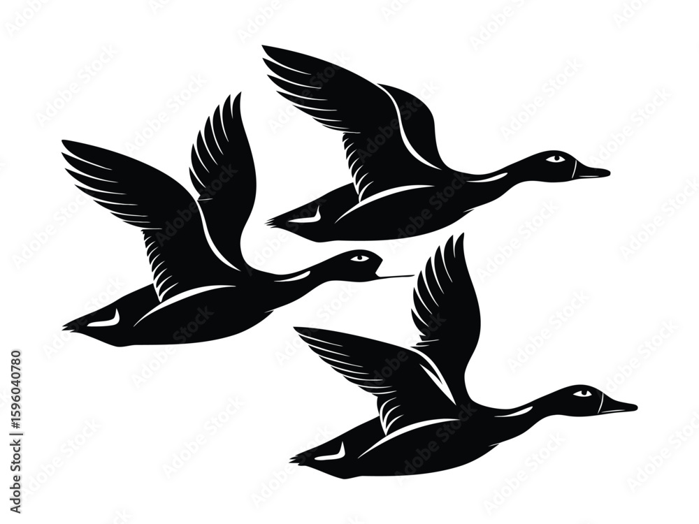 Fototapeta premium Flying Ducks Silhouette Trio Illustration