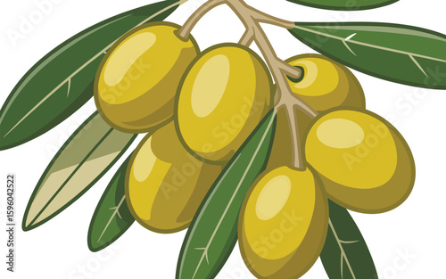 Illustration of a cluster of ripe green olives on a branch with leaves