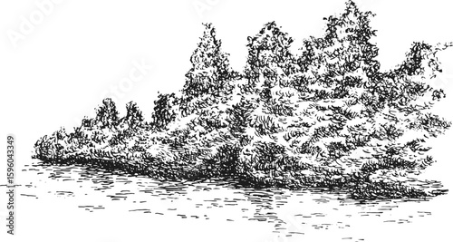 Thickets of trees and bushes above water of lake or river. Nature panoramic landscape in hand drawn sketch style. Vector monochrome illustration.