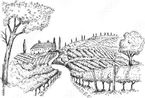 Vineyard landscape field with winery house or farm building in vintage engraved style. Hand drawn monochrome vector illustration.