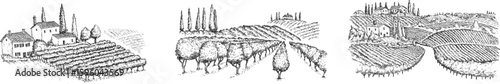 Vineyard landscape field with winery house or farm building in vintage engraved style. Hand drawn monochrome vector illustration.