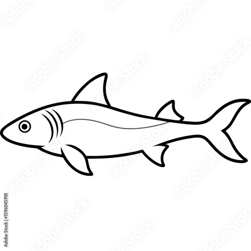 Dogfish  fish vector illustration perfect for posters, icon, t-shirts, cards, wall art prints and ai design.