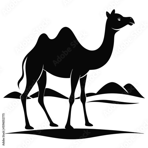 Black Silhouette Camel in Sahara