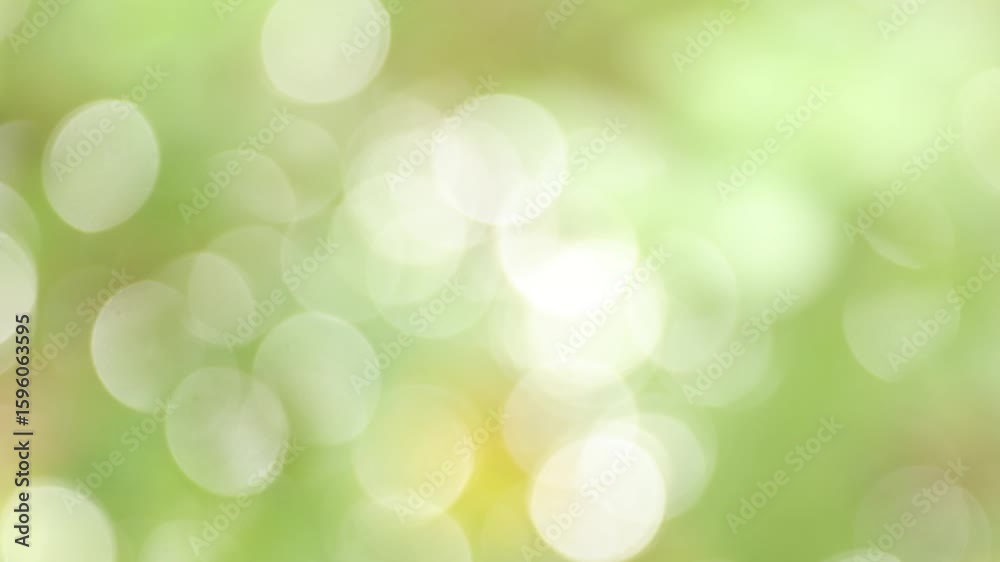 soft green natural bokeh background, blur nature, natural green bokeh light for background, ideal for summer background, and creative projects needing bright, fresh, and organic backdrops