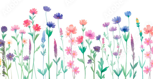 spring flowers border. PNG file