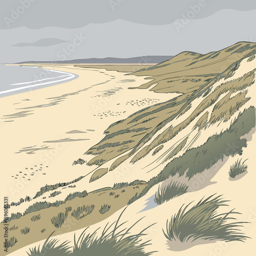 sand dunes in the desert
