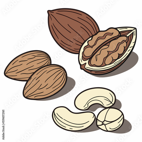 Mix of various nuts including almonds and cashews in natural colors  