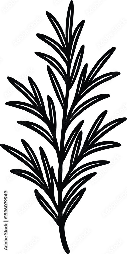 Naklejka premium Vector art of a sprig of rosemary with detailed leaves