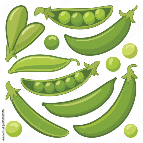 Fresh green peas in pods and scattered peas isolated on white background