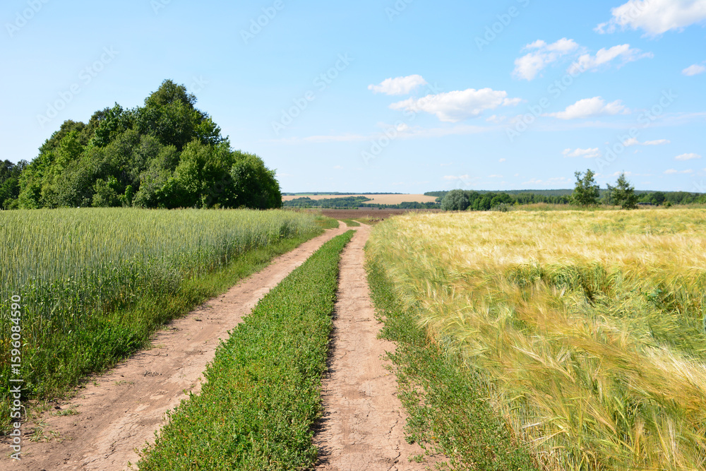 Obraz premium Dirt road through fields under a bright blue sky going forward