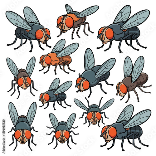 Collection of realistic and stylized flies in various poses and colors