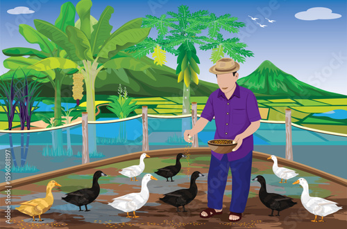agriculturist is feeding ducks.vector design