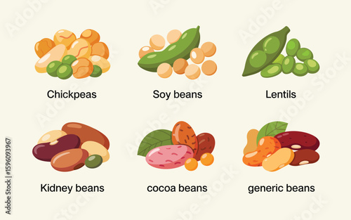 Collection of various healthy beans and legumes with labels