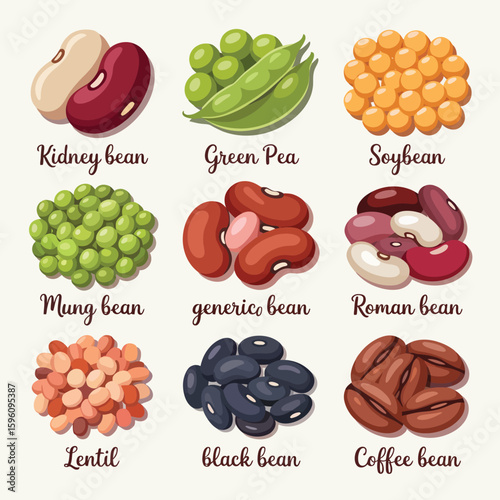 Collection of various types of beans and legumes with labels