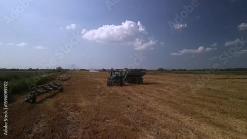 Combine Harvester Working in Golden Wheat Field during Harvest Season