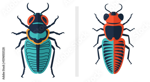 Two stylized beetles are displayed side-by-side, each with distinct color schemes and segmented bodies, separated by a white bar.