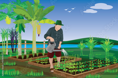  agriculturist Watering the vegetables vector design
