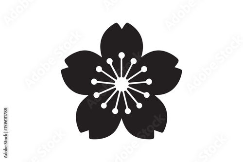 cherry blossom icon silhouette vector with white background