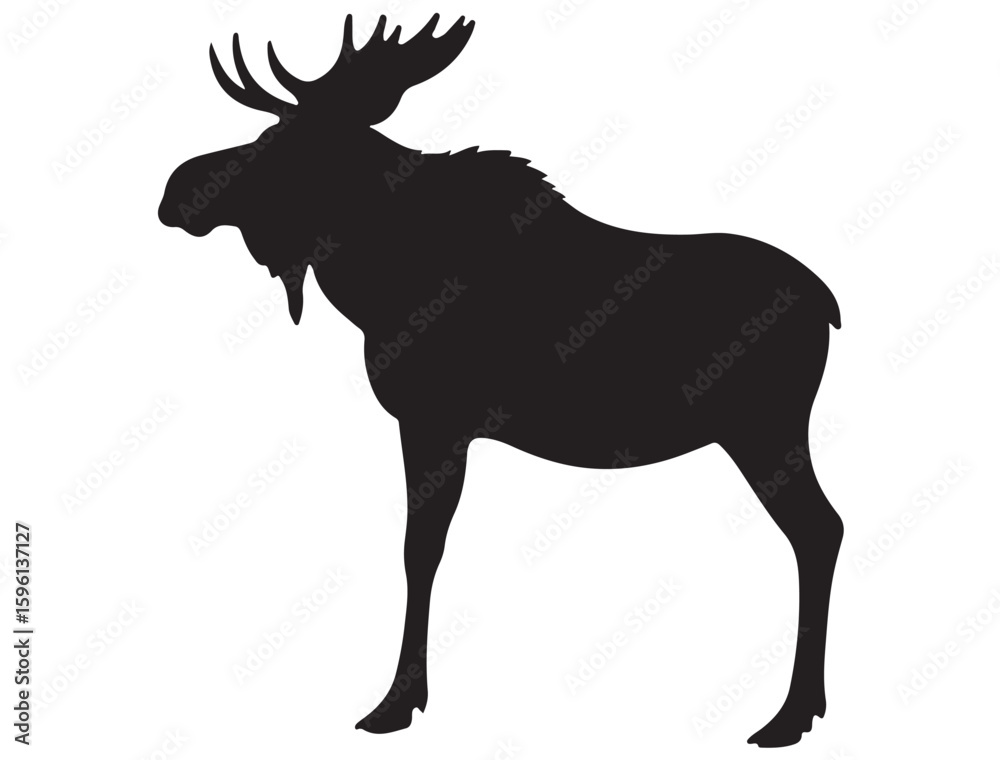 Obraz premium MOOSE SILHOUET